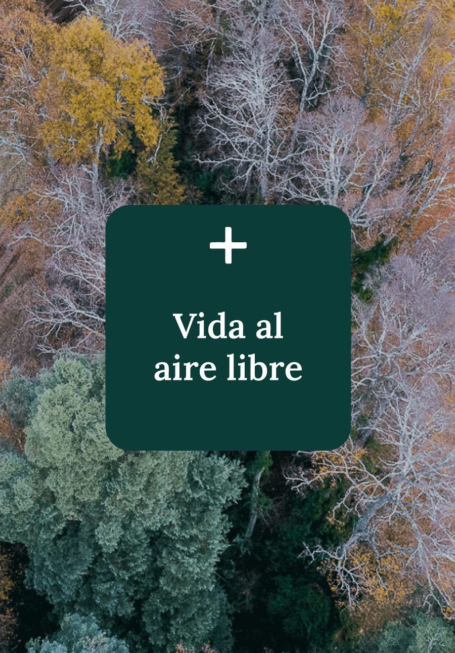 Parcelas Villarrica