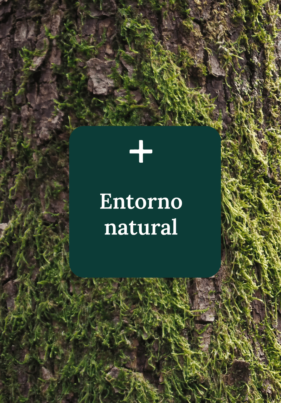 Sitios en Villarrica